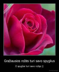 Gražiausios rožės turi savo spyglius - O spygliai turi savo rožęs ||