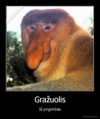 Gražuolis - Iš prigimties