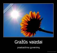 Gražūs vaizdai - praskaidrina gyvenimą
