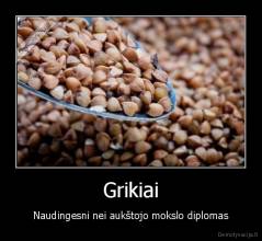 Grikiai - Naudingesni nei aukštojo mokslo diplomas