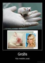 Grožis - Kita medalio pusė