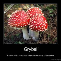 Grybai - Ar galima valgyti visus grybus? Galima, bet kai kuriuos tik vieną kartą.