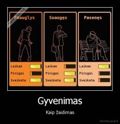 Gyvenimas - Kaip žaidimas