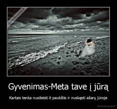 Gyvenimas-Meta tave į jūrą - Kartais tenka nusileisti it paukštis ir nuskęsti ašarų jūroje