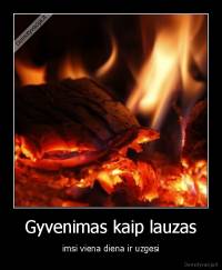 Gyvenimas kaip lauzas - imsi viena diena ir uzgesi