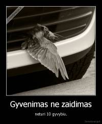 Gyvenimas ne zaidimas - neturi 10 gyvybiu.
