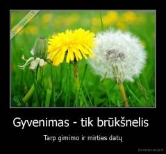 Gyvenimas - tik brūkšnelis  - Tarp gimimo ir mirties datų