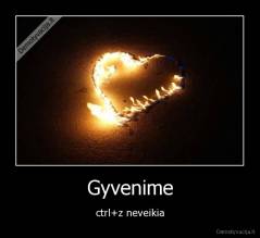 Gyvenime - ctrl+z neveikia