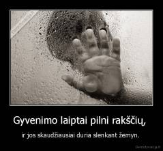 Gyvenimo laiptai pilni rakščių,  - ir jos skaudžiausiai duria slenkant žemyn. 