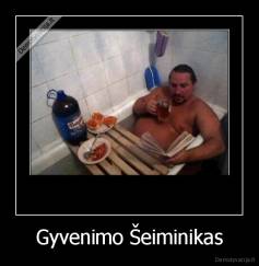 Gyvenimo Šeiminikas - 