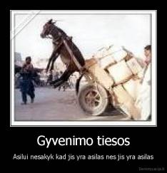 Gyvenimo tiesos - Asilui nesakyk kad jis yra asilas nes jis yra asilas
