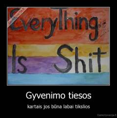 Gyvenimo tiesos - kartais jos būna labai tikslios