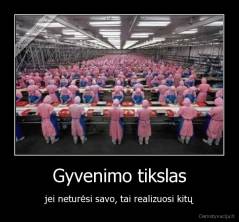 Gyvenimo tikslas - jei neturėsi savo, tai realizuosi kitų