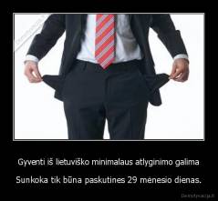 Gyventi iš lietuviško minimalaus atlyginimo galima - Sunkoka tik būna paskutines 29 mėnesio dienas.