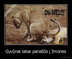 Gyvūnai labai panašūs į žmones - 