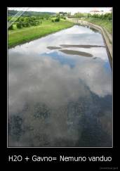 H2O + Gavno= Nemuno vanduo - 