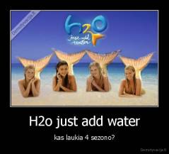 H2o just add water - kas laukia 4 sezono?