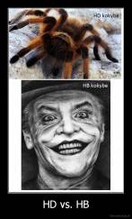 HD vs. HB - 