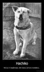 Hachiko - Nors jo ir nepažinojau, bet manau jis buvo nuostabus...