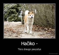 Hačiko - - Tikro draugo pavyzdys