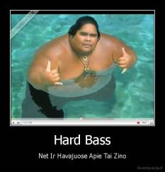 Hard Bass - Net Ir Havajuose Apie Tai Zino
