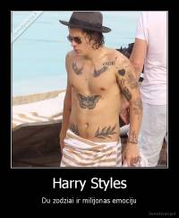 Harry Styles - Du zodziai ir milijonas emociju