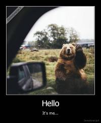 Hello - It's me...