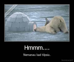 Hmmm.... - Nemanau kad tilpsiu.