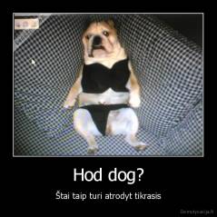 Hod dog? - Štai taip turi atrodyt tikrasis