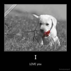 I - LOVE you