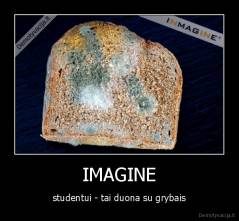 IMAGINE - studentui - tai duona su grybais