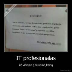IT profesionalas - už visiems prieinamą kainą