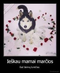 Ieškau mamai marčios - Kad šeimą turėčiau 