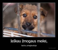 Ieškau žmogaus meilei, - laukiu prieglaudoje