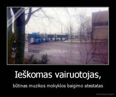 Ieškomas vairuotojas, - būtinas muzikos mokyklos baigimo atestatas