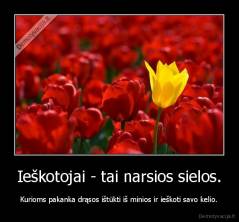Ieškotojai - tai narsios sielos. - Kurioms pakanka drąsos ištūkti iš minios ir ieškoti savo kelio.