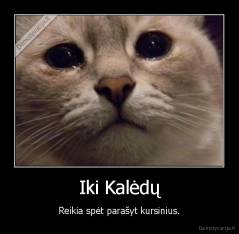 Iki Kalėdų - Reikia spėt parašyt kursinius.