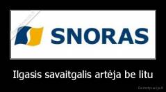 Ilgasis savaitgalis artėja be litu - 