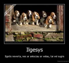 Ilgesys - Ilgetis neverta, nes ar anksciau ar veliau, tai vel sugris