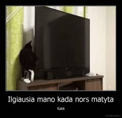 Ilgiausia mano kada nors matyta - Katė