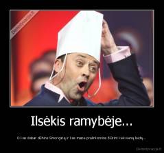 Ilsėkis ramybėje... - O kas dabar dūhins Smoriginą ir kas mane pralinksmins žiūrint kiekvieną laidą...