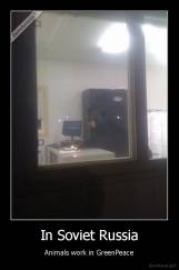 In Soviet Russia - Animals work in GreenPeace