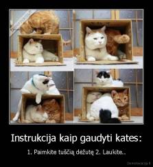 Instrukcija kaip gaudyti kates: - 1. Paimkite tuščią dėžutę 2. Laukite..