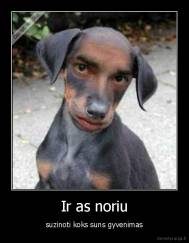 Ir as noriu - suzinoti koks suns gyvenimas
