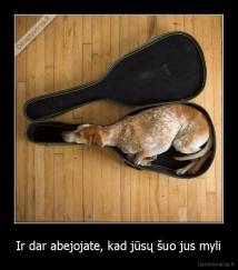 Ir dar abejojate, kad jūsų šuo jus myli - 