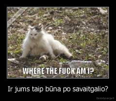 Ir jums taip būna po savaitgalio? - 
