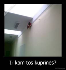 Ir kam tos kuprinės? - 