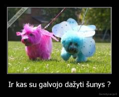 Ir kas su galvojo dažyti šunys ? - 
