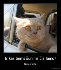 Ir kas tiems šunims čia faino? - Nesuprantu