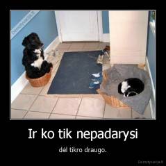 Ir ko tik nepadarysi - dėl tikro draugo.